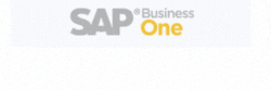 Altab S.A – SAP Business One